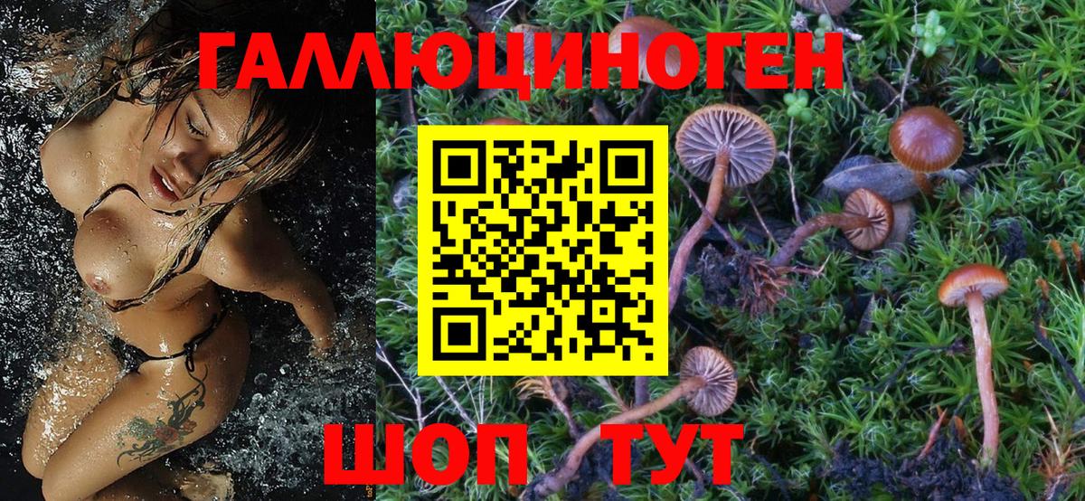 Псилоцибиновые грибы мухоморы Печора