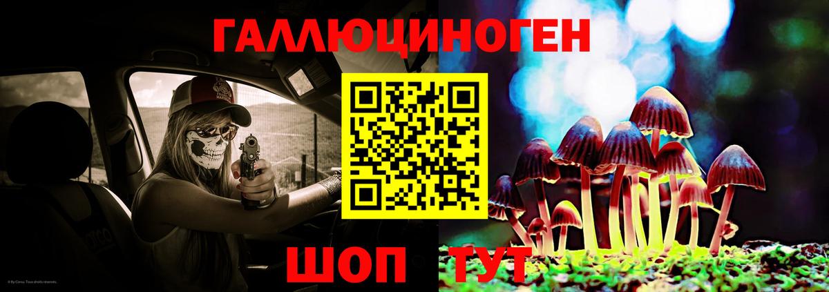 Галлюциногенные грибы Psilocybine cubensis  Вход с VPN  Печора 